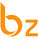 BZTurk Consulting Business